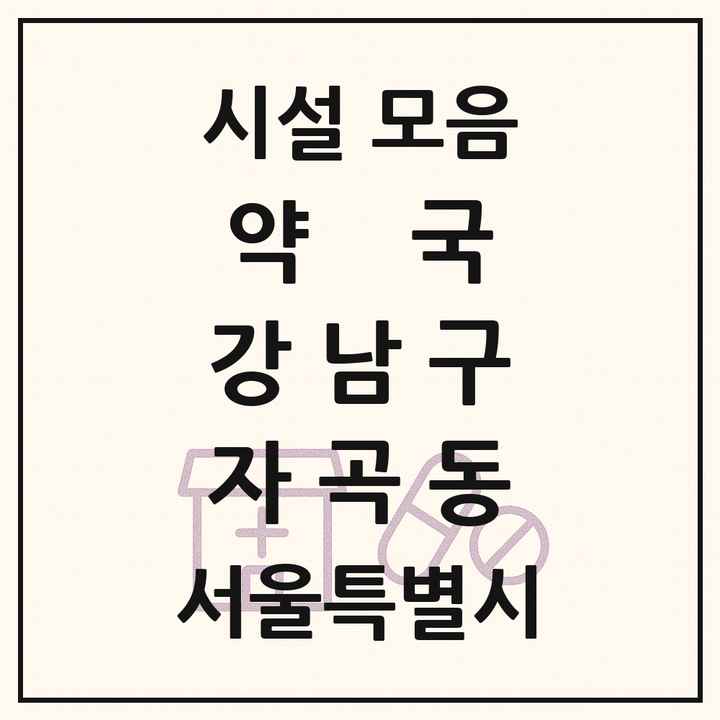 서울특별시 강남구 자곡동 약국 목록